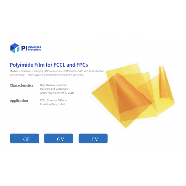 PIAM GF GV LV.jpg PIAM GF GV LV.jpg